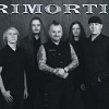 rimortis-589947.jpg