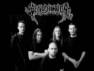 benediction-380970.jpg