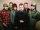 modest-mouse-548462.jpg