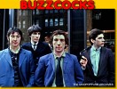 buzzcocks-395710.jpeg