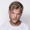 avicii-647019.jpg