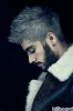 zayn-569246.jpg