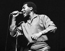 otis-redding-570541.jpg