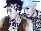 gd-top-302232.jpg