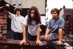 dinosaur-jr-519581.jpg