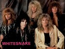 whitesnake-555339.jpg