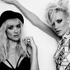 nervo-595104.jpg