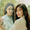 davichi-658868.jpg