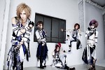 royz-428247.jpg