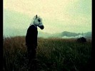 sparklehorse-591408.jpg