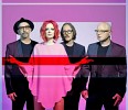 garbage-629109.jpg