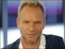 sting-9063.jpg