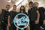 live-like-glass-492685.jpg