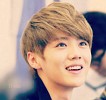 luhan-504215.jpg