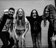 carcass-623187.jpg