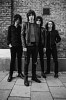 catfish-and-the-bottlemen-549541.jpg