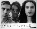 meat-puppets-526371.jpg