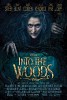 soundtrack-into-the-woods-535135.jpg