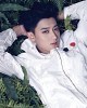 z-tao-573930.jpg