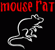 mouse-rat-565291.gif