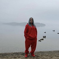 Bellyache - Billie Eilish (lyrics) #lyrics #songlyrics #bellyache #bil