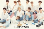 wanna-one-593632.jpg