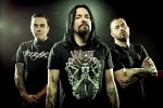 prong-595499.jpg