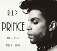 prince-621658.jpg