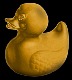 Golden_Duck