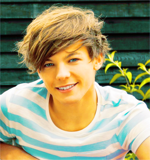 1Dlouis1D