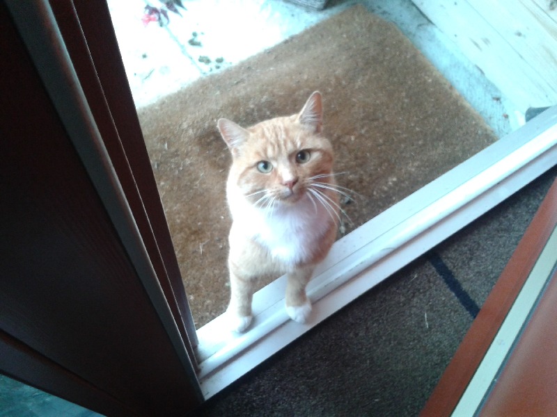 Nelly563