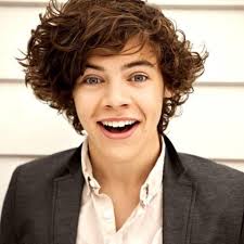 1D-Harry-1D