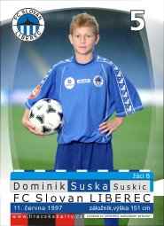 domisek1