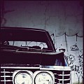 free_crazy