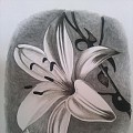 Michelete