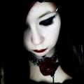 Gothita