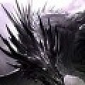 Tomlord