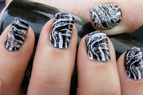 zebra