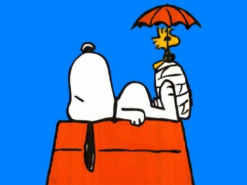 Snoopy