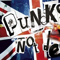 punkpunk-758592.jpg