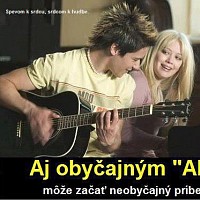 belieberka-842134.jpg