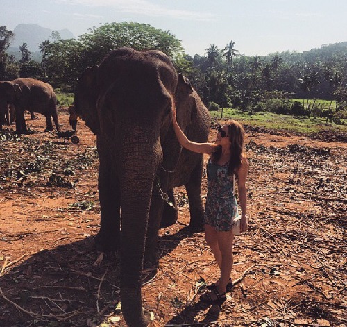 Sri Lanka 💞🌾