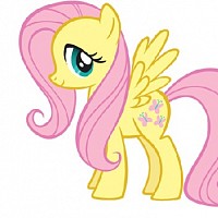 fluttershymm-984151.jpg