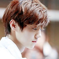 luhan-1084706.jpg