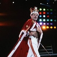 freddie-43109.jpg