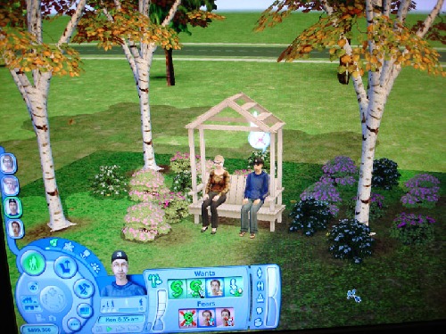 thesims