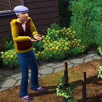 thesims-233877.jpg